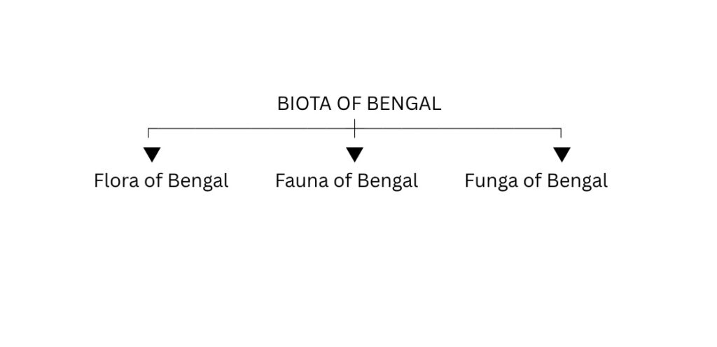 Biota of Bengal