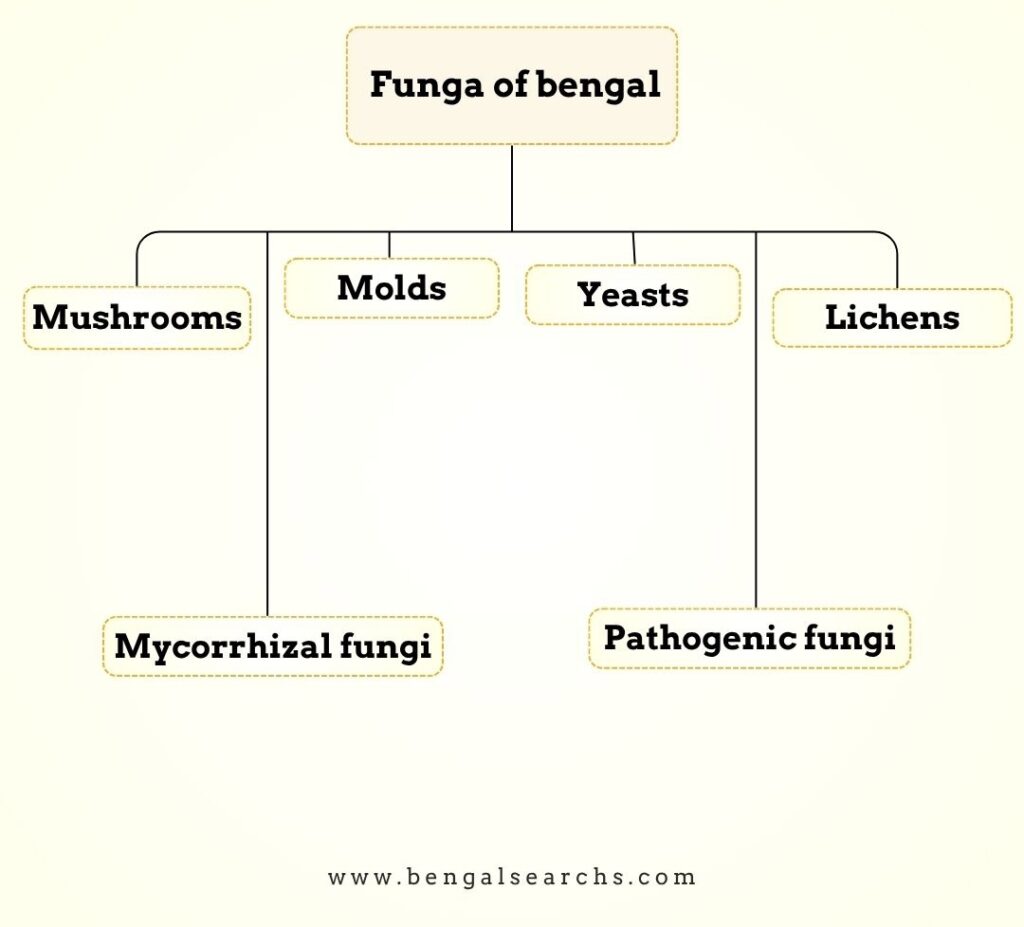 funga of Bengal