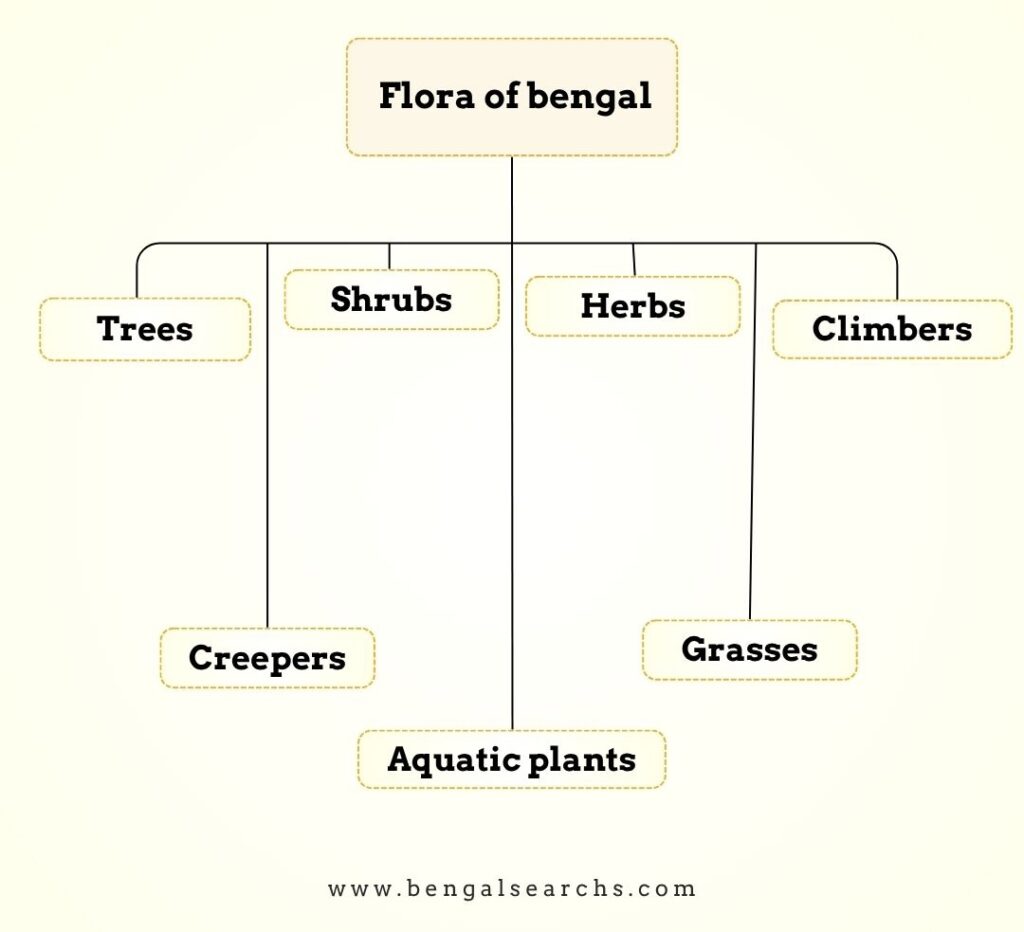 Flora of Bengal