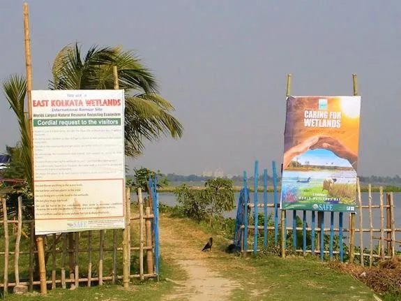 🌊 East Kolkata Wetlands (Ramsar Site)