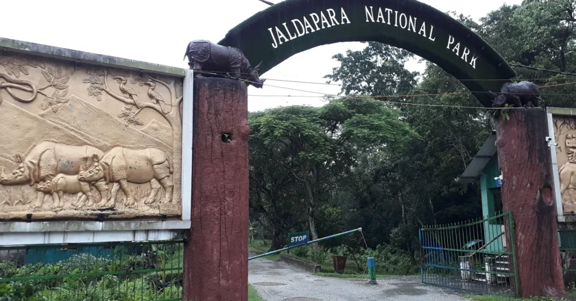 🦏 Jaldapara National Park