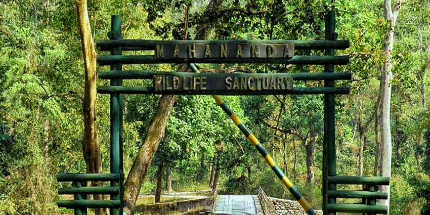 🐒 Mahananda Wildlife Sanctuary