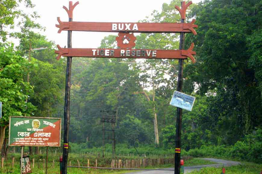 buxa-tiger-reserve-forest