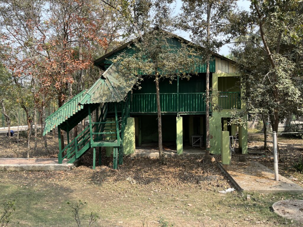 🌲🌳 Bengal Forest