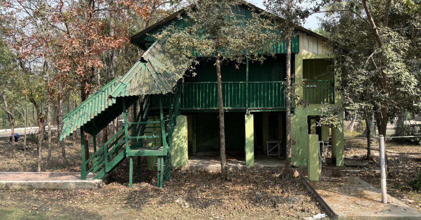 🌲🌳 Bengal Forest